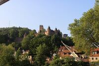 Die Burg von Wertheim