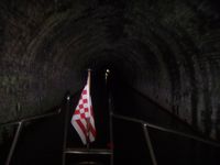 Tunnel Ham